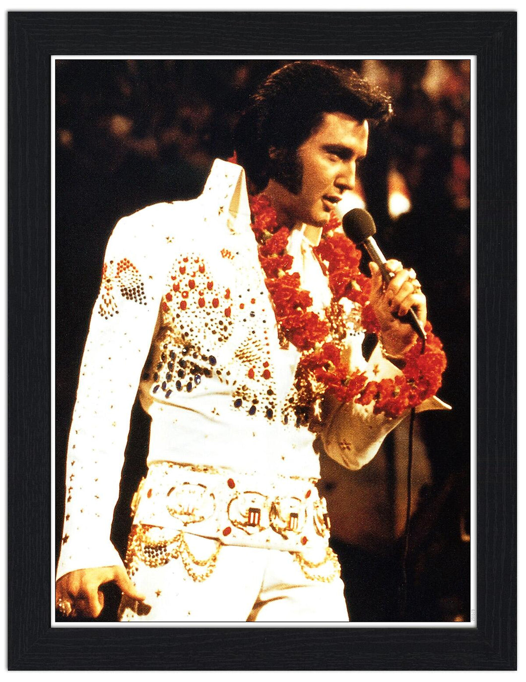 Elvis Aloha 30x40 Unframed Art Print