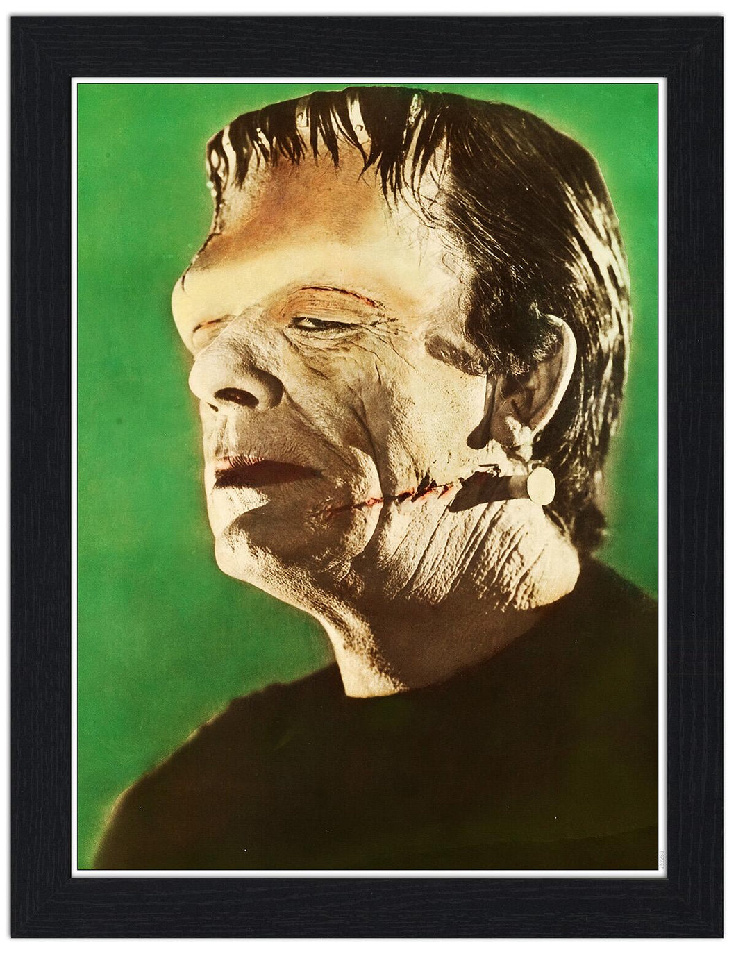 Frankenstein Monster 30x40 Unframed Art Print