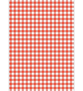 Red & White Buffalo Check Gift Wrapping Paper