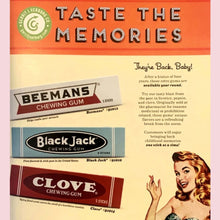 Load image into Gallery viewer, Beemans Old Style Chewing Gum The Coolest Gum In Town
