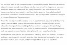 Load image into Gallery viewer, Old Salt Plant Based Medium Hold Pomade Open Waters
