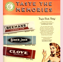 Load image into Gallery viewer, Beemans Old Style Chewing Gum The Coolest Gum In Town
