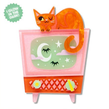 Load image into Gallery viewer, Erstwilder Midnight Mischief Retro Static Acrylic Brooch
