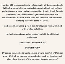 Load image into Gallery viewer, Erstwilder Midnight Mischief Knock, Knock Acrylic Brooch
