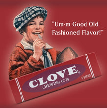 Load image into Gallery viewer, Beemans Old Style Chewing Gum The Coolest Gum In Town
